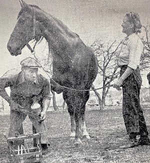 FARRIER'S ART CHERISHED BY SEYMOUR CRAFTSMAN